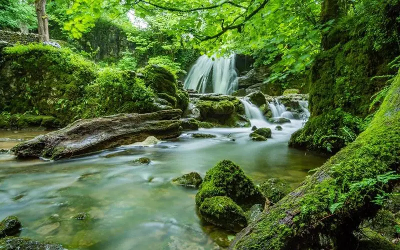 可靠性高端